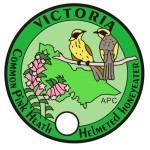 Vic